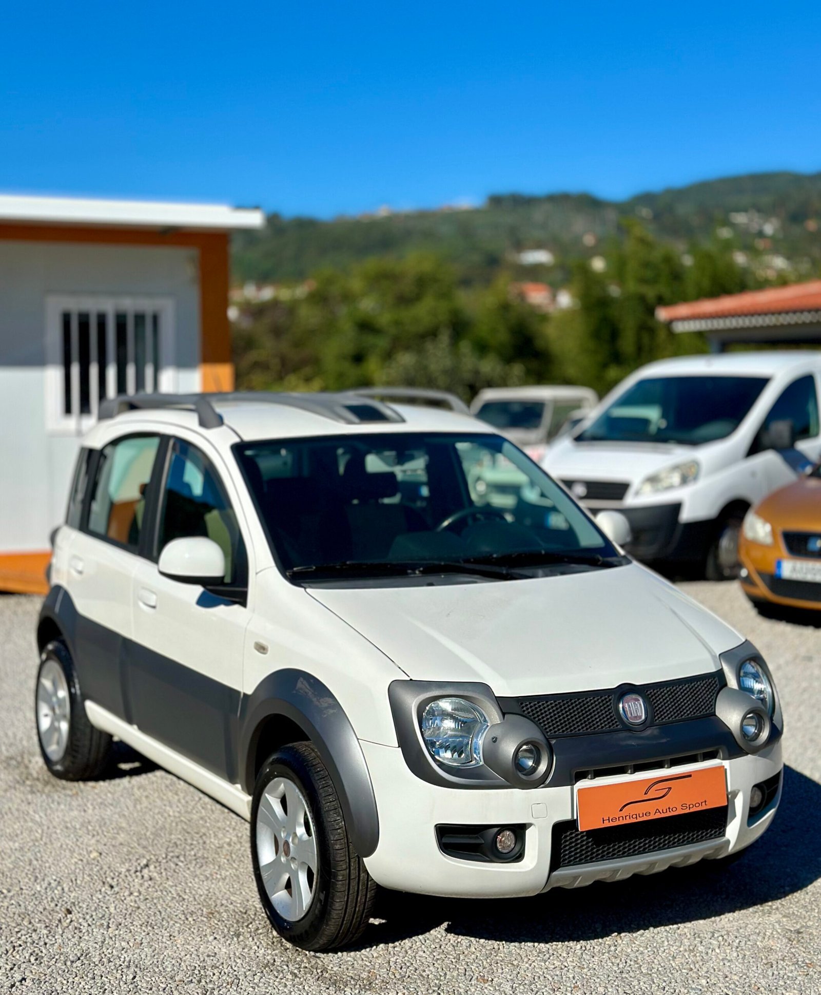 
								Fiat Panda 1.3 Cdti 4×4 Cross full									