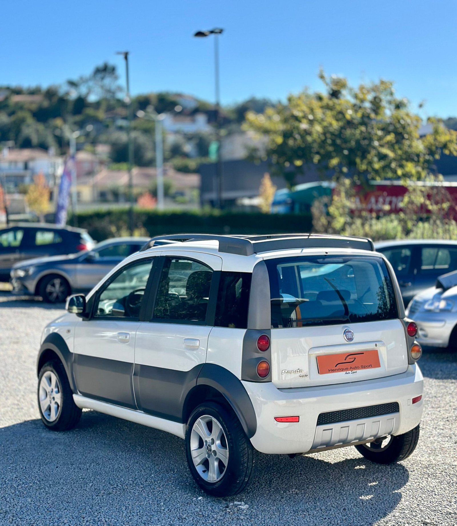 
								Fiat Panda 1.3 Cdti 4×4 Cross full									